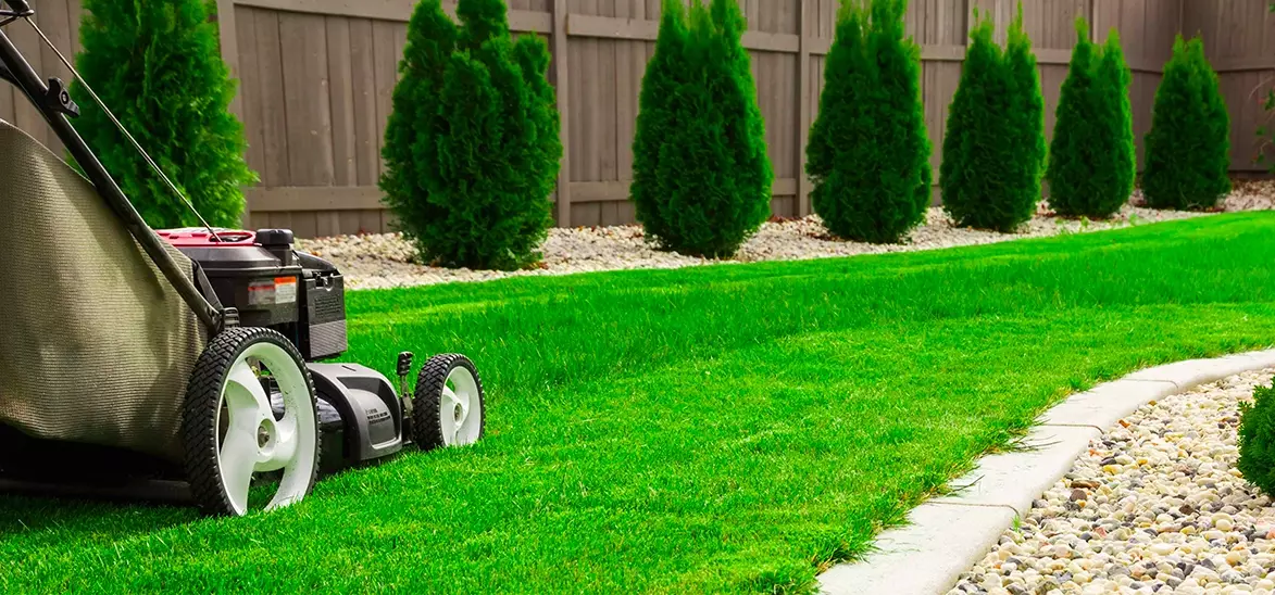 Jardinage